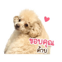Meaww_20260521144419