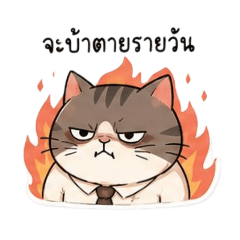 MEoW_20260522162754