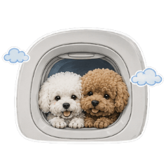"travel with my friend(s)"