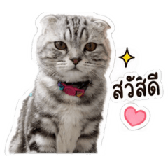 Nueng_20260526184513