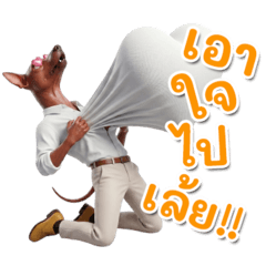 Cocoa Animate Motion_20260603004642