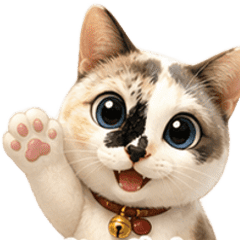 Momo Paradee
