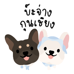 Bajung Kuncheiyng The Frenchie