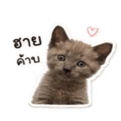 My name is Chanom