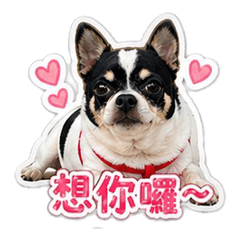 LOVE LING