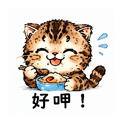 可愛的摺耳貓，供台語02