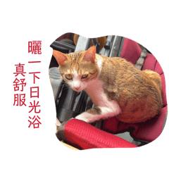 月香新生社日常語錄
