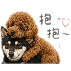 阿錢與阿哆日常