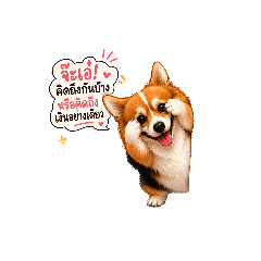 Mr.cogi