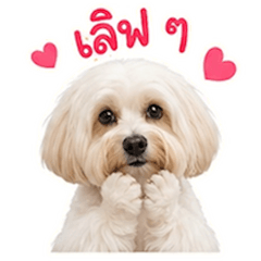 3-Digit Bet (1 Baht)-9