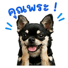 3-Digit Bet (1 Baht)-10