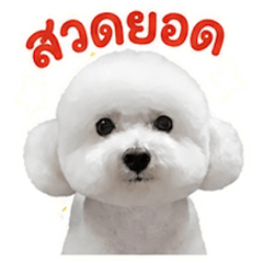 3-digit bet (1 Baht)-12