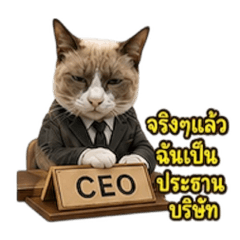 Lhong the Stray Cat