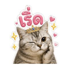 Maew Meow - Cheetah V.2