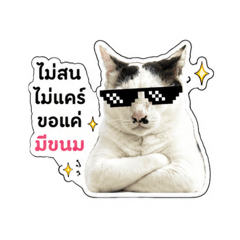 Nalinthip Kathkong_20260627212641
