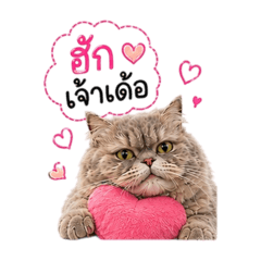 Moonie Speaks Isan
