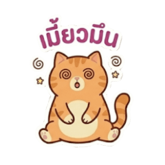 Cute & Lovely Mr. Ginger Cat