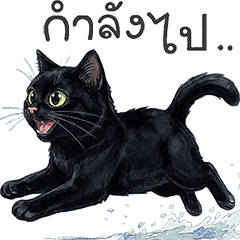 "Black cat"#1