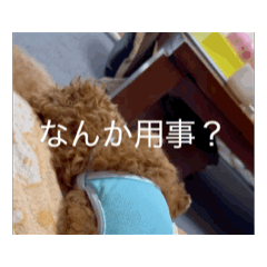 Love_20260702162004