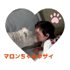 hitan_20260702164933