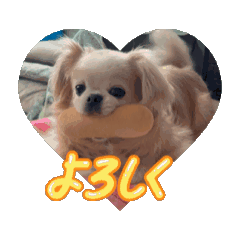 tibitibi_20260702170728