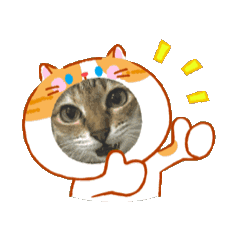 Meaw Meaw Jom Khikait