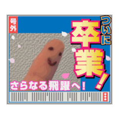 puipui_20260702201037