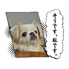 tibitibi_20260702205652