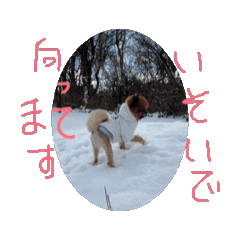 kii_20260702213243