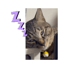 kinoko_20260702225836