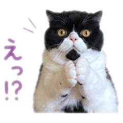 nanaoko_20260702141136