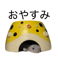 Leopard Gecko chibi