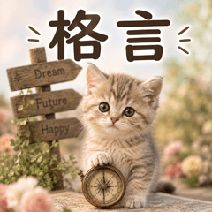 とびだす★格言にゃんこ★長文★猫 ねこ
