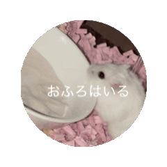 FeederofDaifuku