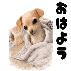 Pupu Loves Cozy Cuddles