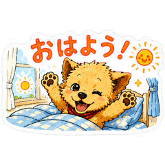 toypoolucy_20260703094947