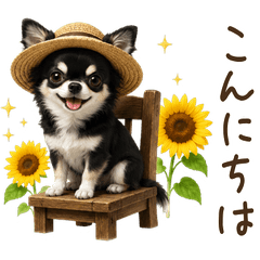 【夏】毎年使える！黒チワワ