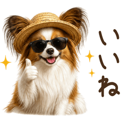 【夏】毎年使える！パピヨン