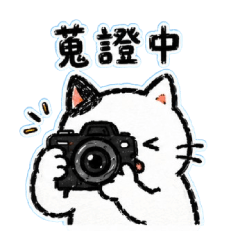 牛牛貓和阿獺的粉色日常