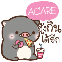 ACARE pig pig lovely e