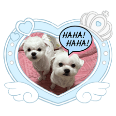 球球&雪寶&松