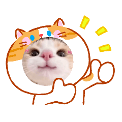可愛貓貓主題圖