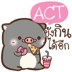 ACT pig pig lovely e