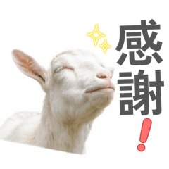 Chohutarou_20260701213922