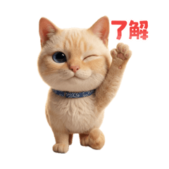 SasakamaCat -Everyday&Polite Expressions