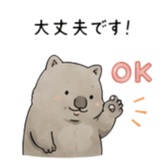 A considerate wombat