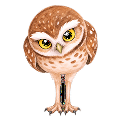 Watercolor Burrowing Owl