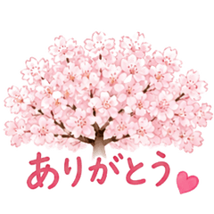 Sakura Weather Stickers