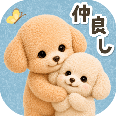 every day / Friendly Toy Poodles