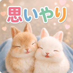 consideration rabbit p